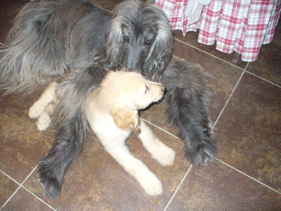 d'Agathe's D-Day - dernier calin a maman avant le depart