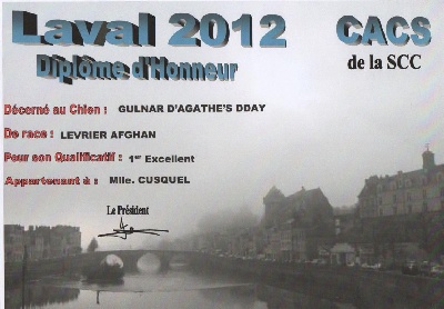 d'Agathe's D-Day - LAVAL 25/11/2012